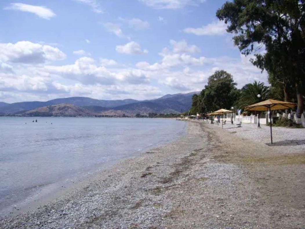 纳夫普利翁Παραθαλάσσιο Σπίτι Θαλάσσια Αυρα别墅 外观 照片
